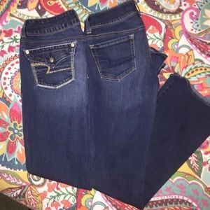 GUC American Eagle Artist Jeans Bundle Size 8